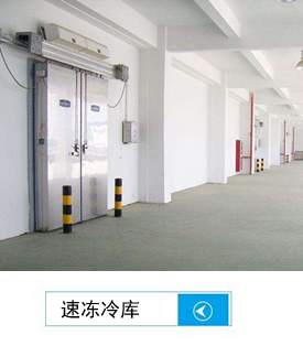 速凍冷庫建造