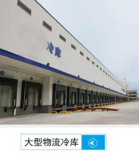大型冷鏈物流冷庫建造