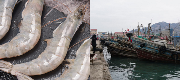 建造一個(gè)海鮮冷庫(kù)多少錢?